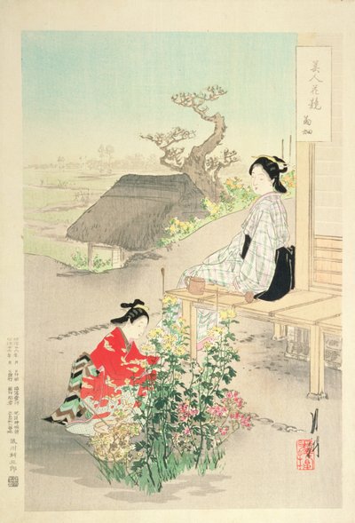 「菊の花園」、「花と競う美女」シリーズ、1893（カラー木版画） 作： Ogata Gekko